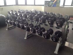 International Plaza (D2), Apartment #502866781